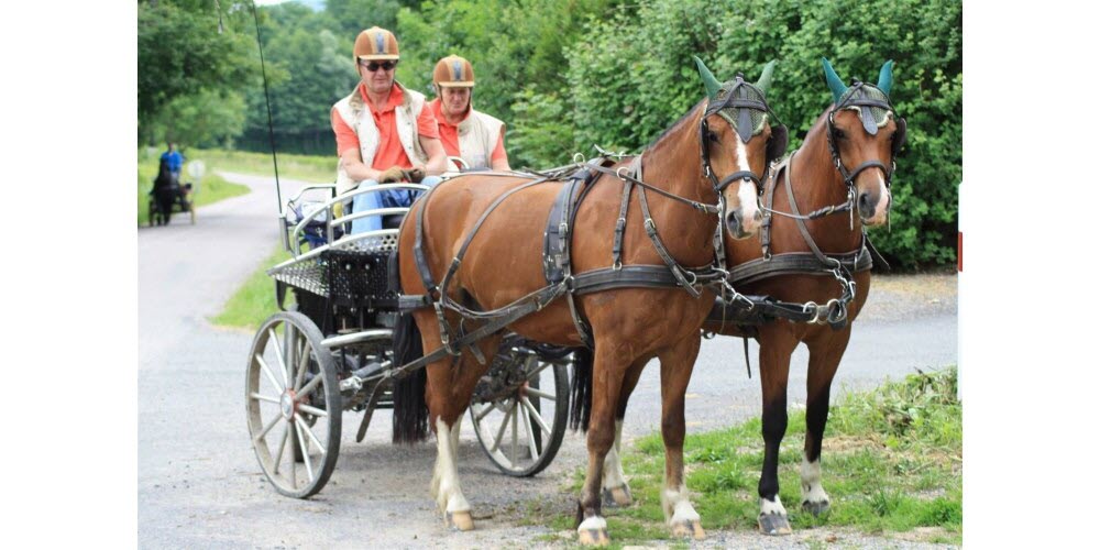 Fête Champêtre Attelage à la Grande-Verrière